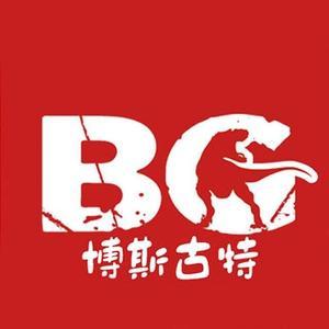 博斯古特科教玩具 開啟智慧與創造力的奇妙之旅